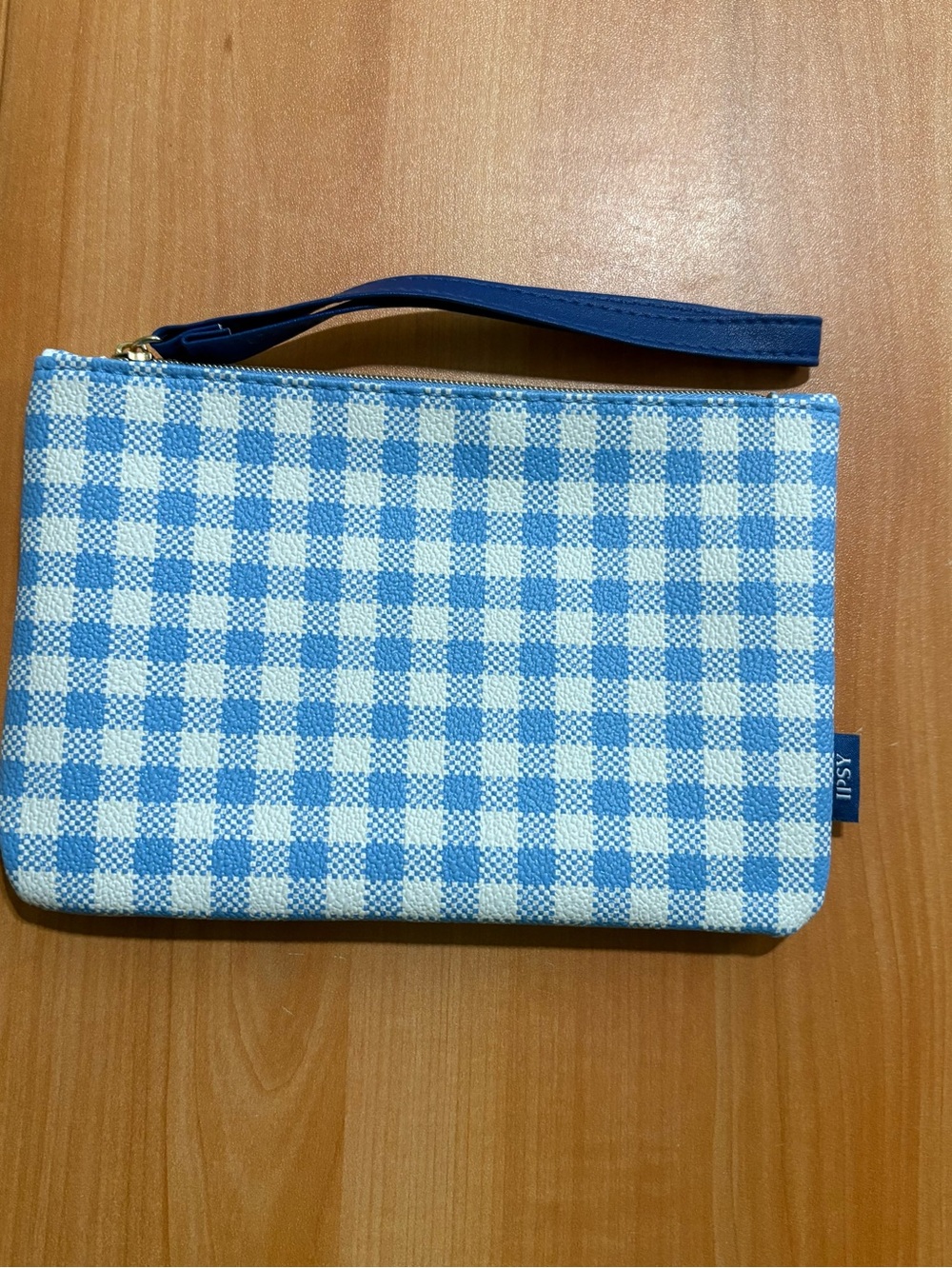 Ipsy Blue and White Gingham Cosmetic Bag
